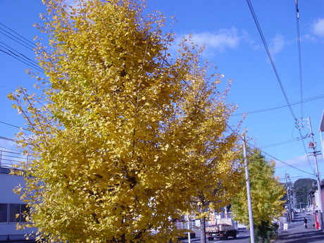 DSC00729