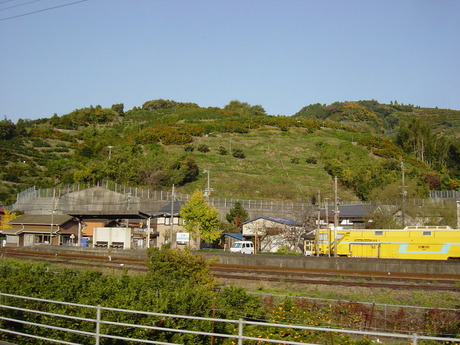 DSC00745