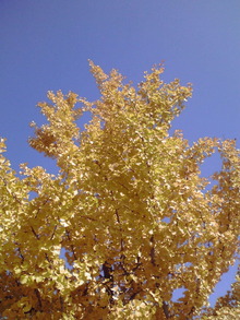 P1000020