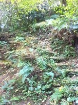 IMG_0015