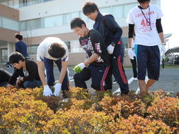 DSCN5941