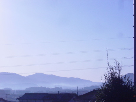 DSC00704