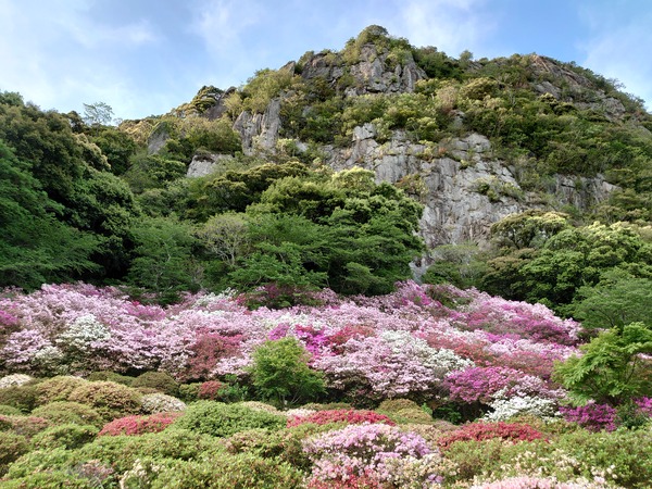 御船山つつじ丘