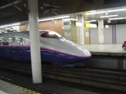 DSC00503