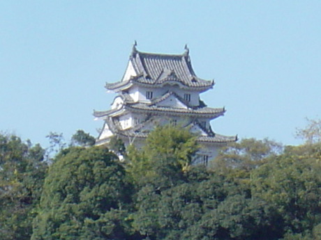 DSC00744
