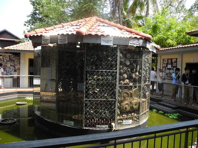 DSCN5113
