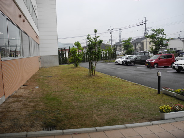 DSCN4419