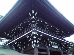 P1000220