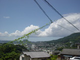 DSC00161