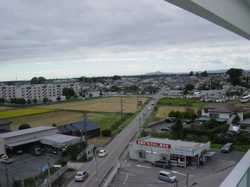 DSC00522