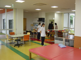 DSC00515