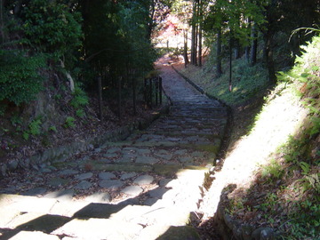 DSC00775