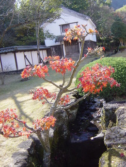 DSC00778