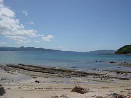 DSC00207
